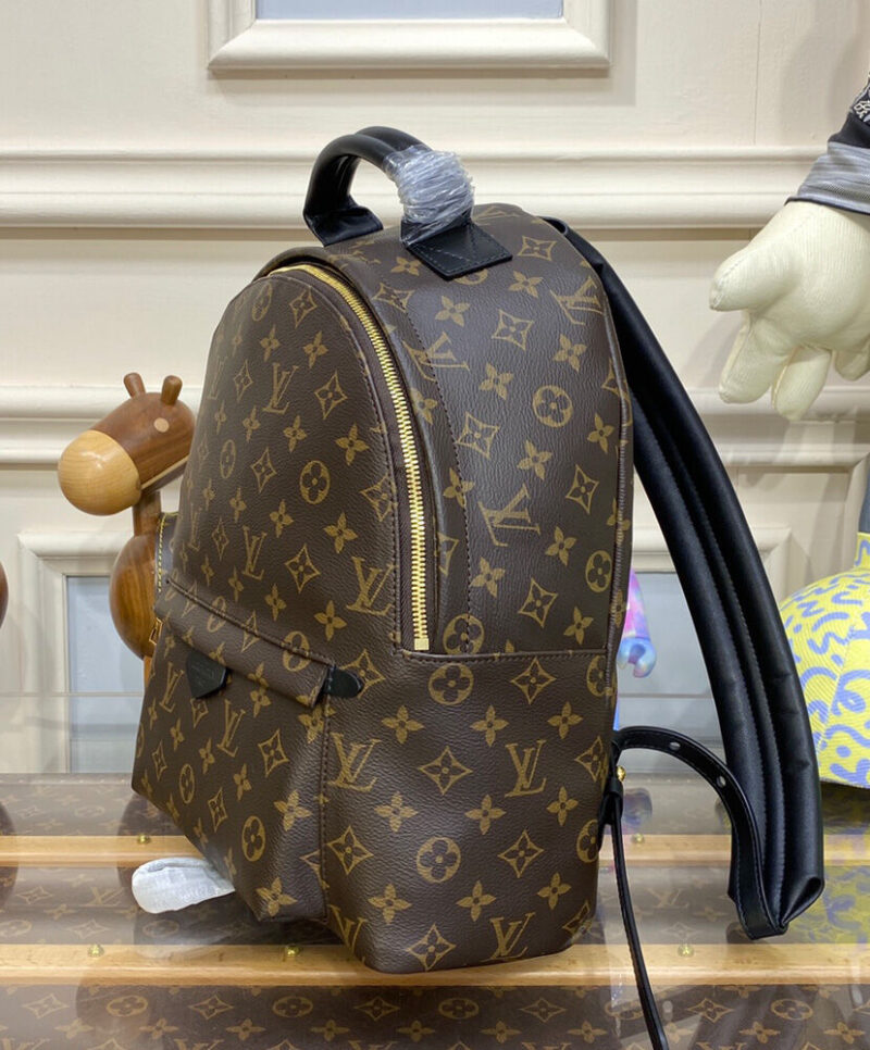 Louis Vuitton Palm Springs MM M44874 Brown